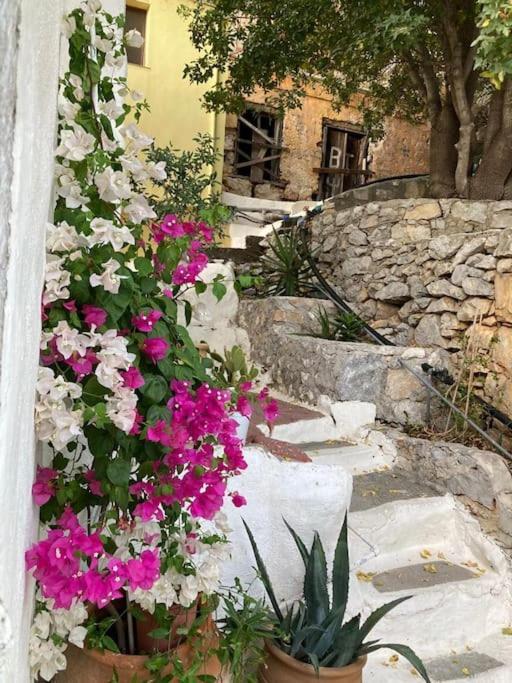 Maison Avec Terrasses Et Vues Symi Exterior foto